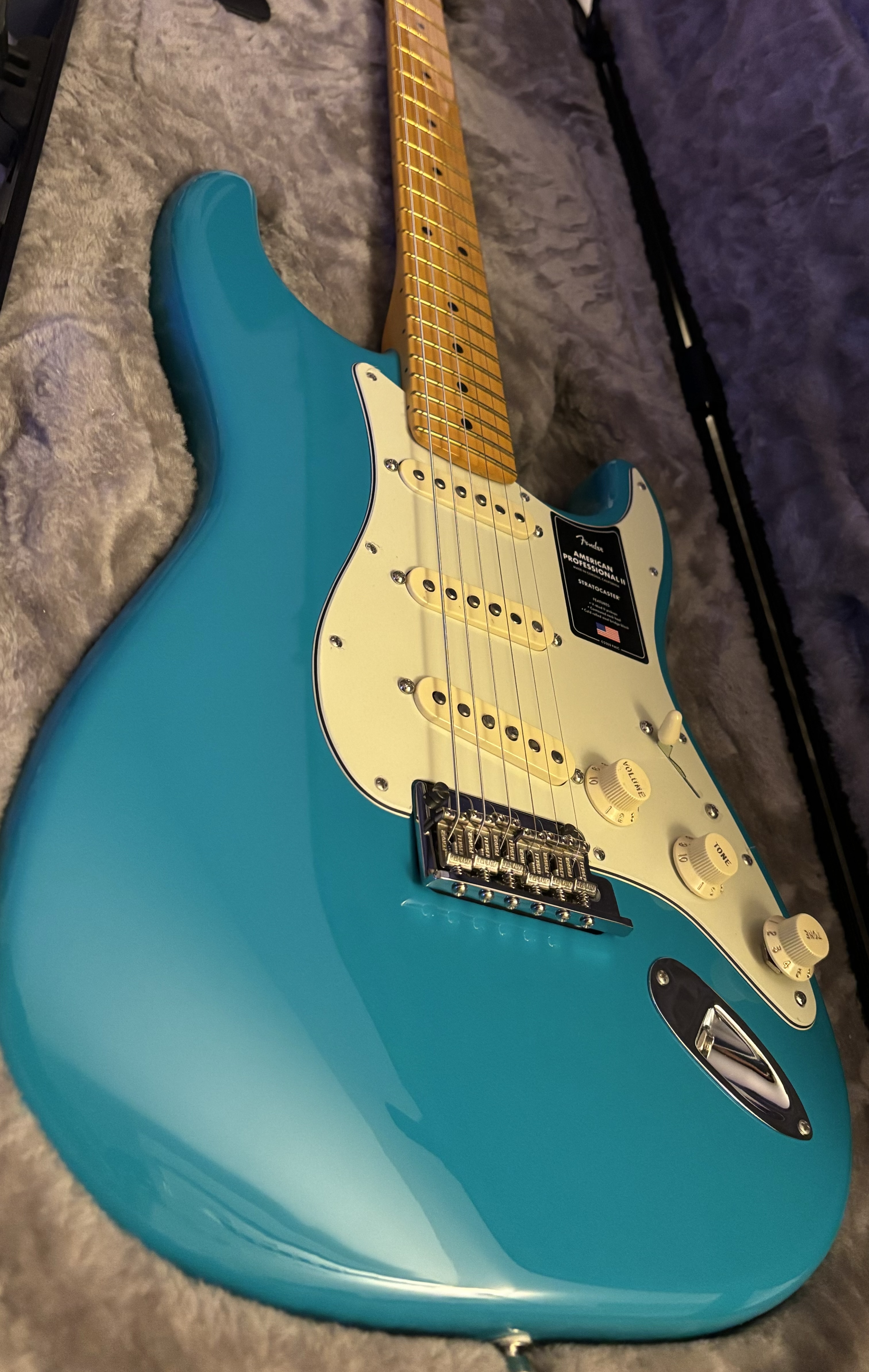 Fender American Professional II Stratocasterの画像